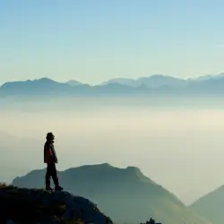 from the journey